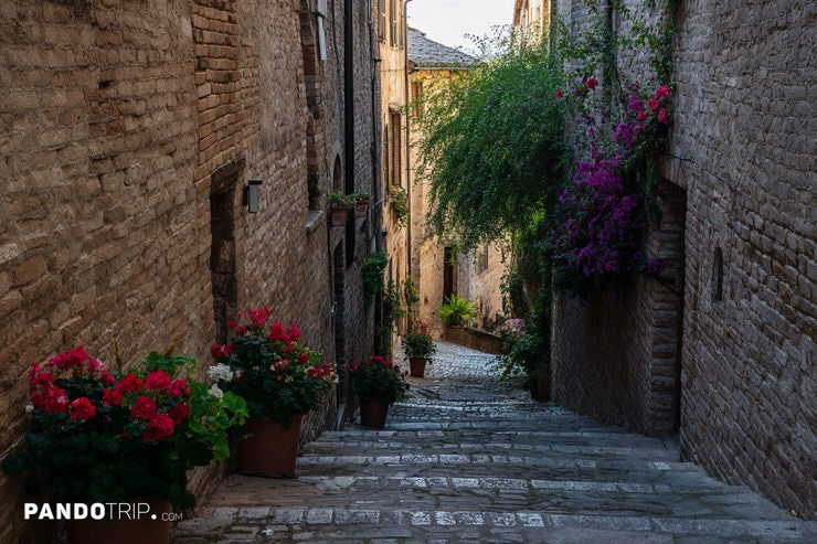 Steep Cobblestone Street with Flowers in Spello, Italy