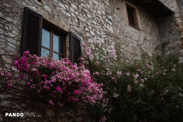 Window with Shutters and Flower Box in Spello, Italy
