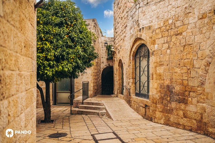 Narrow cobblestone street lined with stone walls and citrus trees in Jerusalem's Jewish Quarter