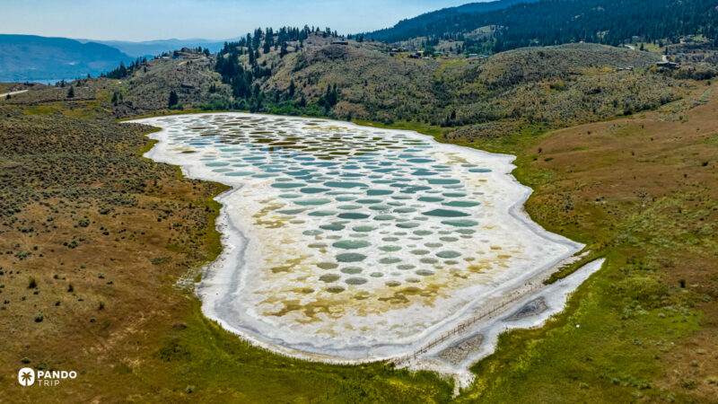 Aerial view of Spotted Lake in British Columbia, Canada, showing its unique mineral-rich spots and colorful patterns surrounded by hills and greenery.