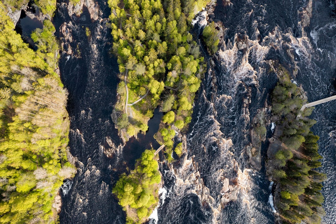Top-down aerial of Koiteli Rapids near Oulu, with dark rushing water splitting around a tree-covered island crisscrossed by walking paths and bridges in Finland.
