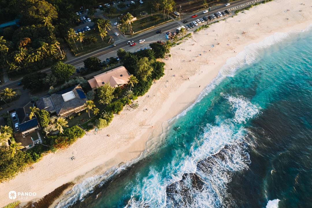 Aerial view of a sandy beach on Barbados with rolling waves, beachfront houses, palm trees and a coastal road lined with parked cars.