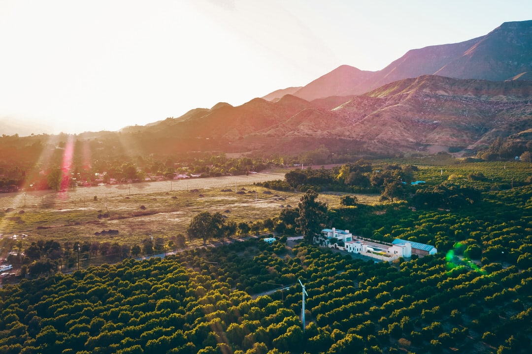 Aerial view of Ojai Valley citrus orchards and Topa Topa Mountains glowing pink at sunset.