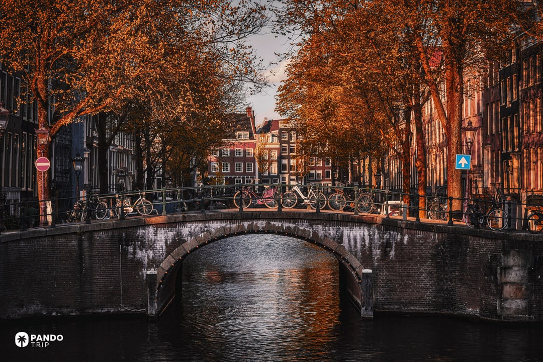 Arched brick canal bridge in Amsterdam with bicycles along the railing framed by golden autumn trees.