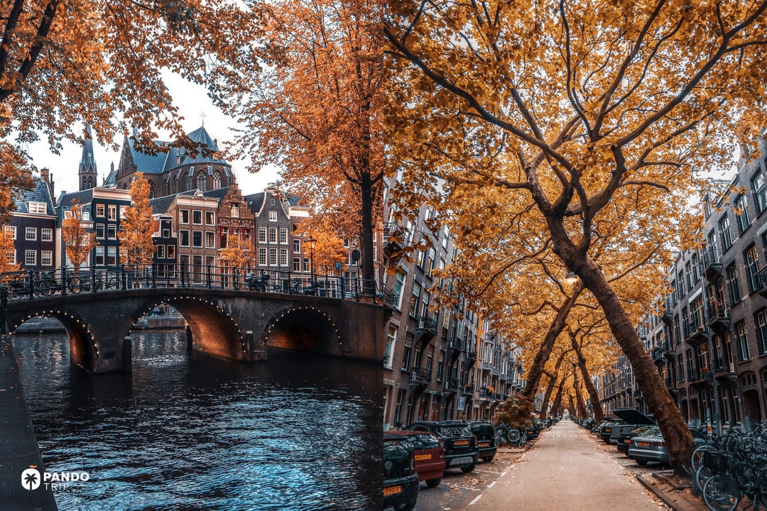 Split image of Amsterdam: left a canal bridge and gabled houses; right a tree-lined street arching with golden autumn leaves.