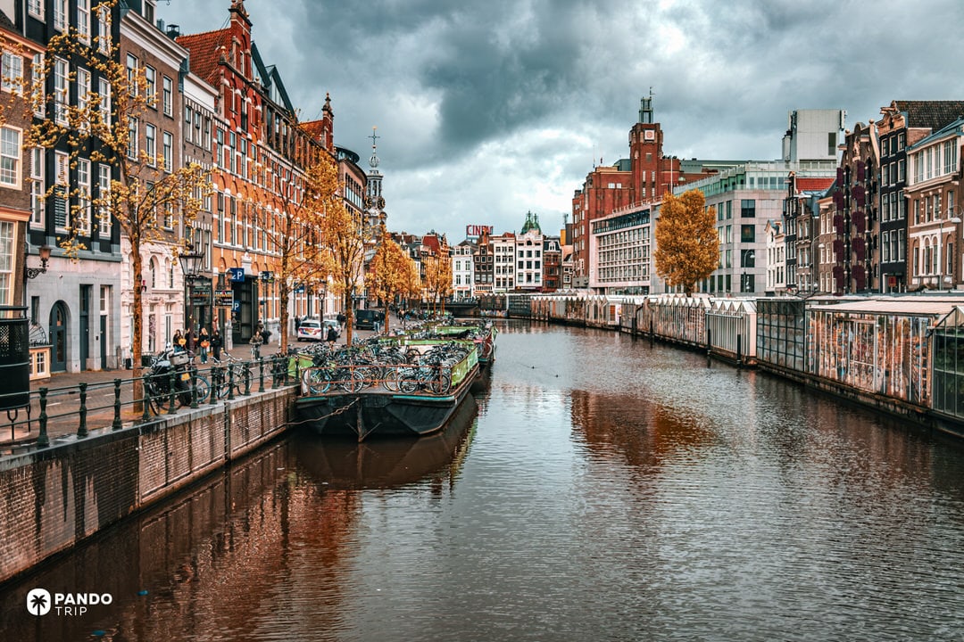 Amsterdam’s Bloemenmarkt on the Singel canal with yellow autumn trees, historic houses, and a barge stacked with bicycles.