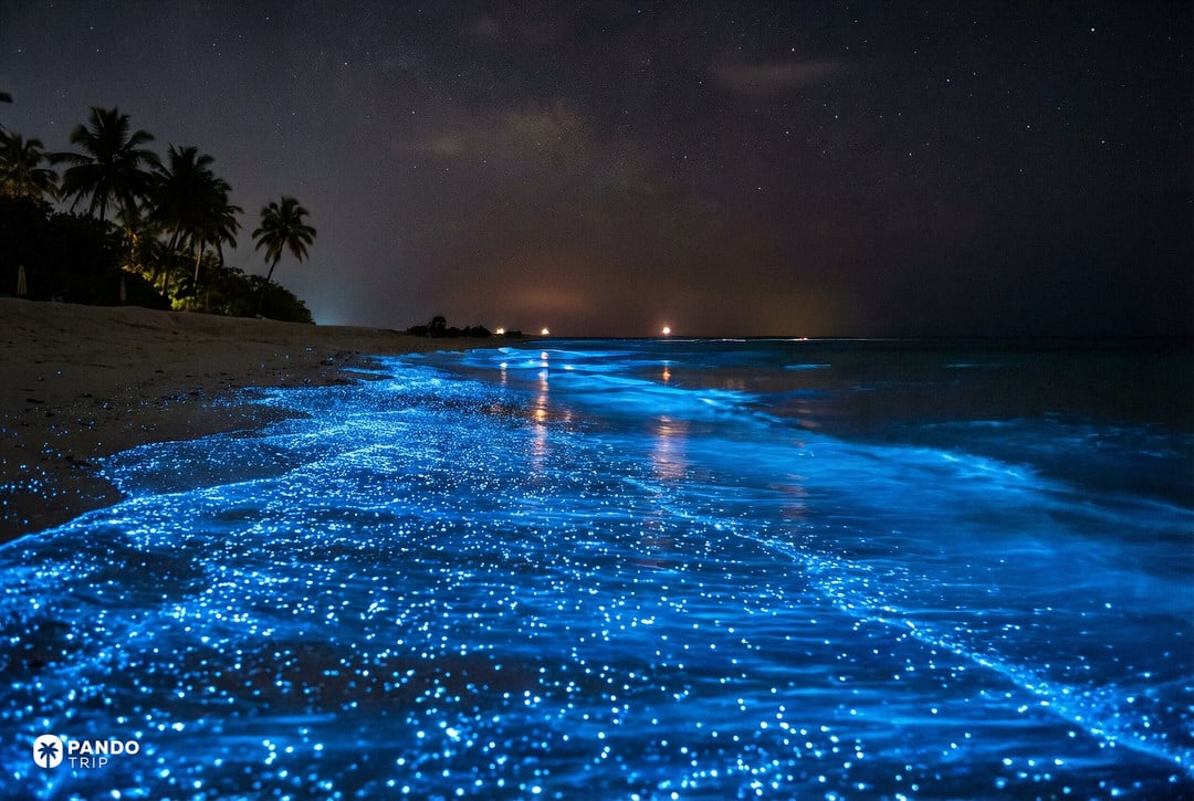 Bioluminescent plankton lighting up a Maldives beach at night, electric-blue waves glowing along the shore