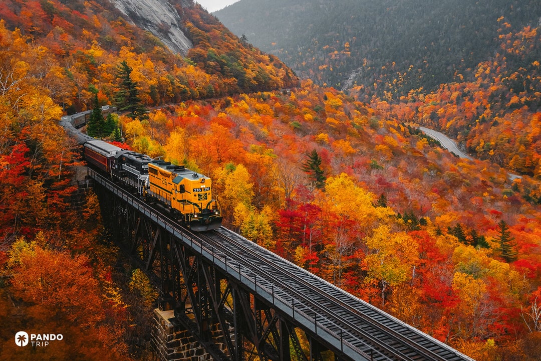 The Conway Scenic Railroad train crossing a trestle through bright red and orange foliage in the White Mountains.