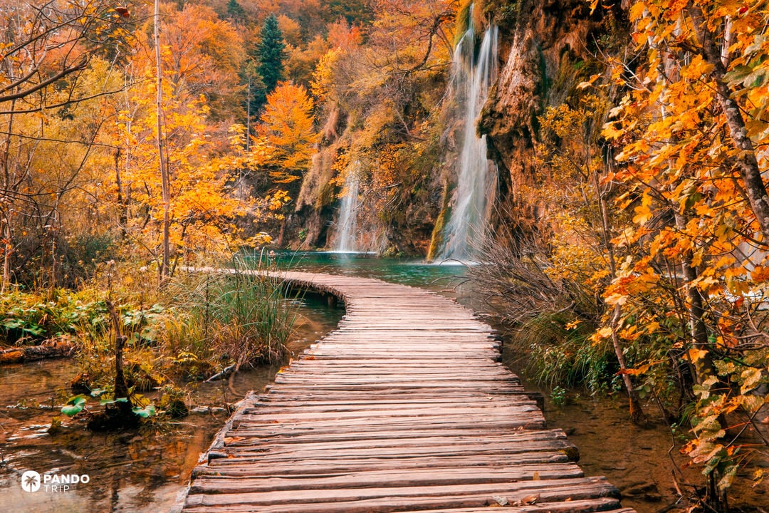 Curved wooden boardwalk leading toward cliffside waterfalls at Plitvice Lakes with golden autumn forest.