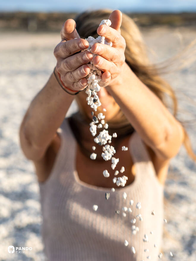 Woman pours white rhodoliths (“popcorn”) through hands at Popcorn Beach (Playa del Bajo de la Burra), Fuerteventura