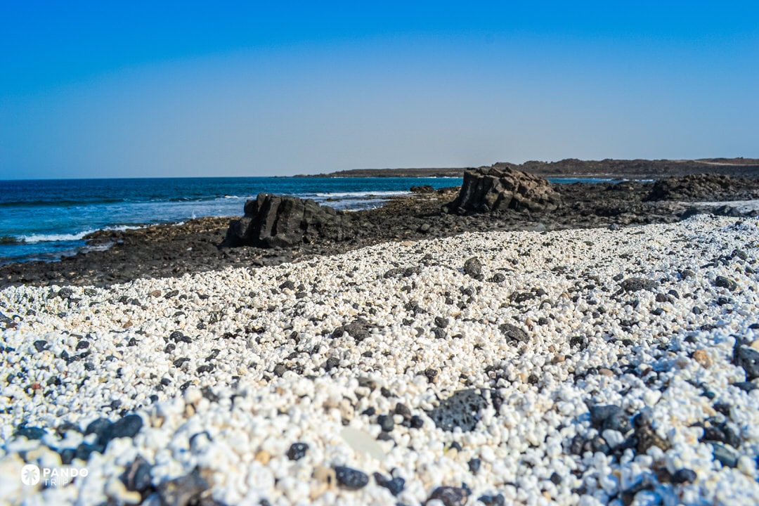 Popcorn Beach’s white rhodoliths contrasting with jagged black basalt and the blue Atlantic near Majanicho, Fuerteventura.