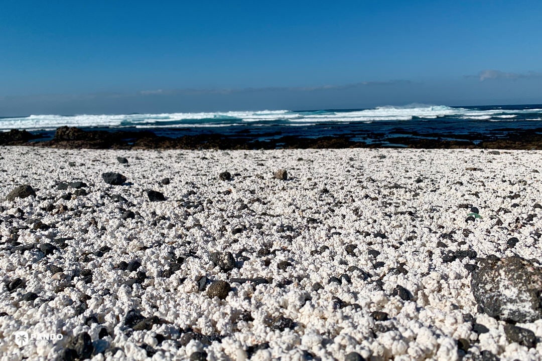 Rhodolith-covered shoreline at Popcorn Beach with Atlantic tide pools and surf under a clear sky, north Fuerteventura.