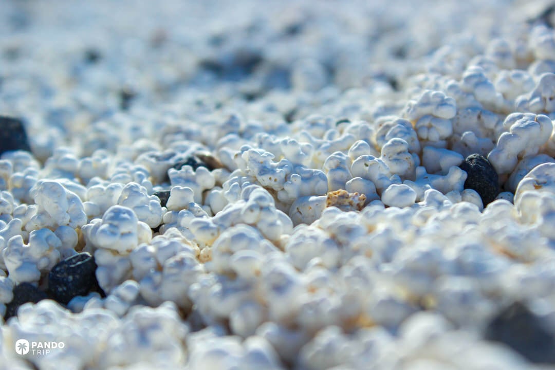 Close texture of white rhodoliths with scattered dark lava pebbles at Popcorn Beach, Canary Islands.