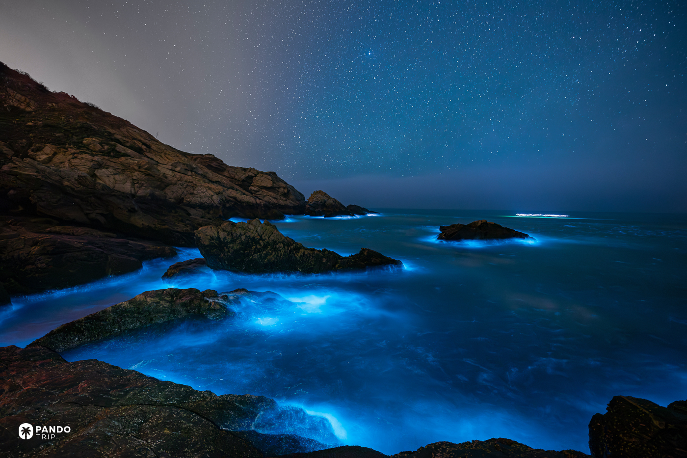 Bioluminescent blue tears glowing along a rocky shoreline under a starry sky in the Matsu Islands.