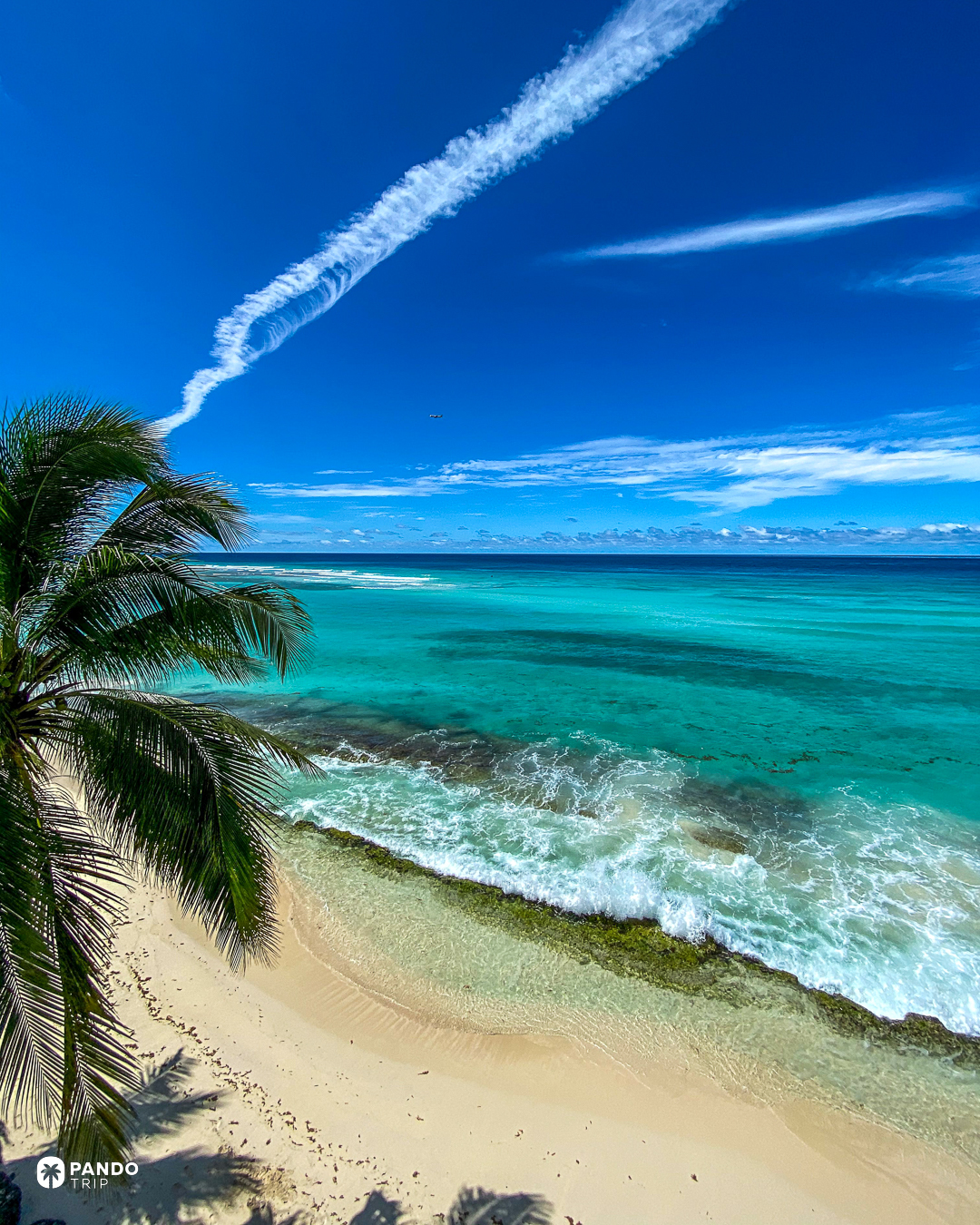Palm fronds over pale sand and turquoise shallows with a reef line breaking offshore, Barbados.