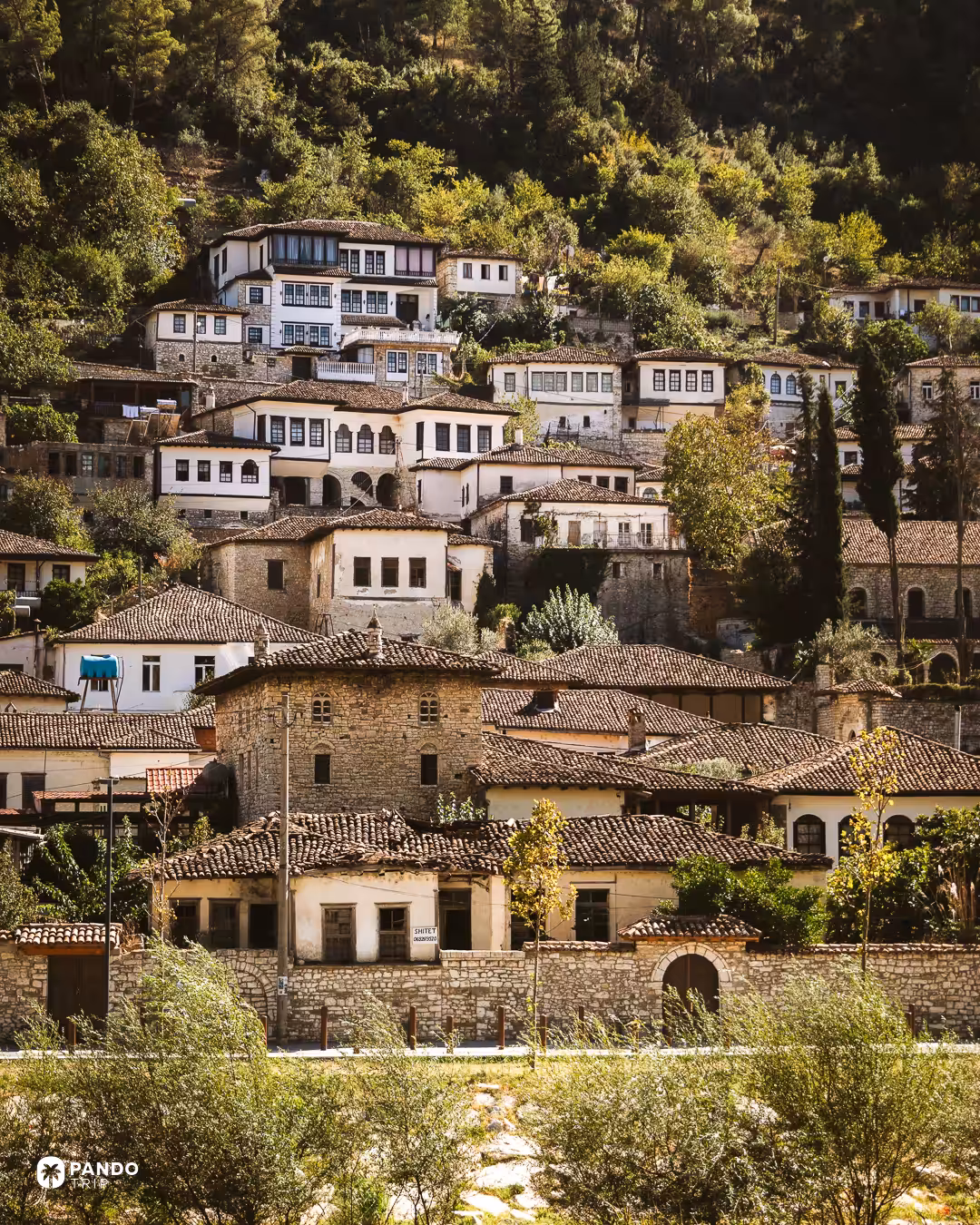 White Ottoman houses with rows of windows stacked up Berat's wooded hillside above the river.