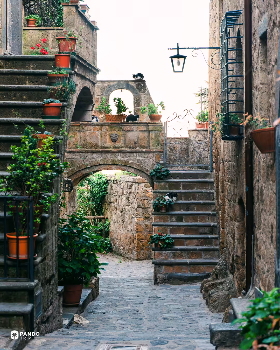 Potted plants and brick steps on a lane of stone houses in Civita di Bagnoregio.