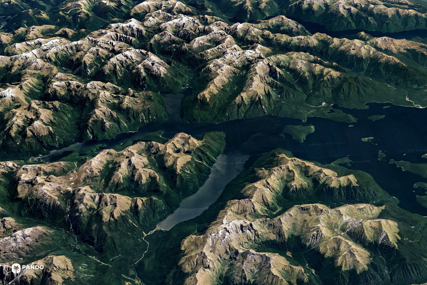 Satellite view of Fiordland's mountain ranges in New Zealand, a long dark fiord threading between them.