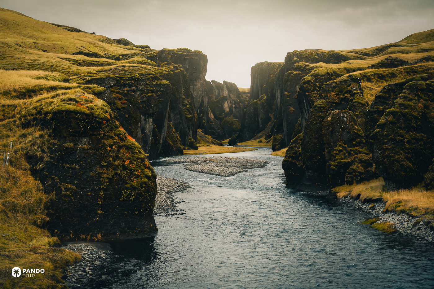 Fjaðrárgljúfur seen head-on from its mouth, the Fjaðrá river running out between moss-covered rock walls.