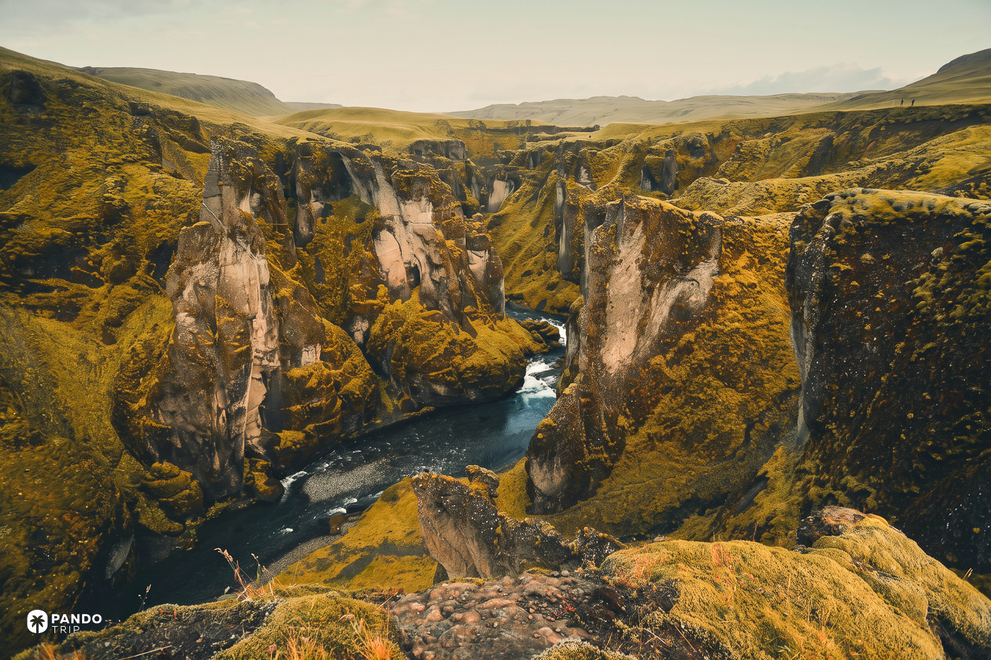 Fjaðrárgljúfur seen from the rim, mossed rock towers standing above the river far below.