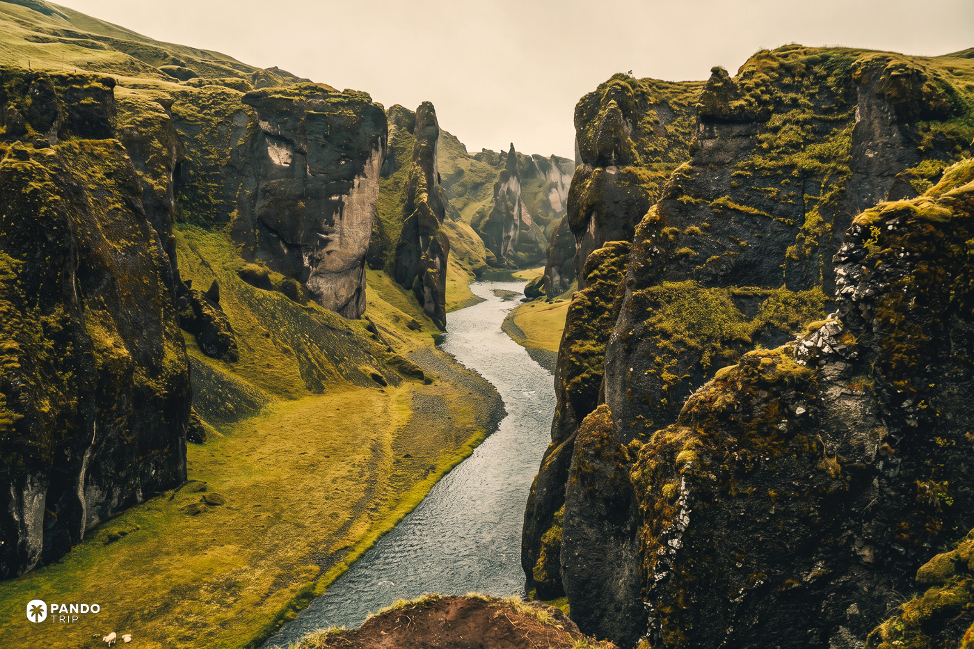 The Fjaðrá leaving Fjaðrárgljúfur across a green valley floor between the canyon walls.