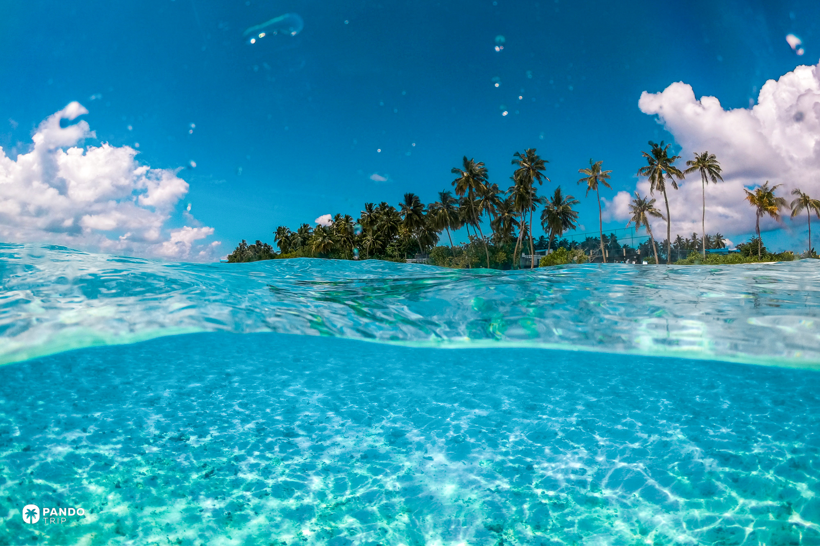 Split-level view at Fulidhoo in the Maldives, palms above the waterline and rippled sand a short way beneath it.