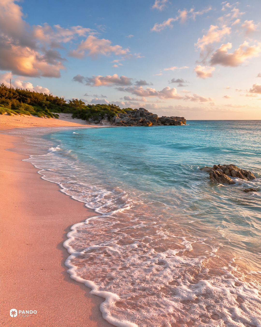 Pink-tinted sand and turquoise water at Horseshoe Bay, Southampton Parish, Bermuda, in low evening light.