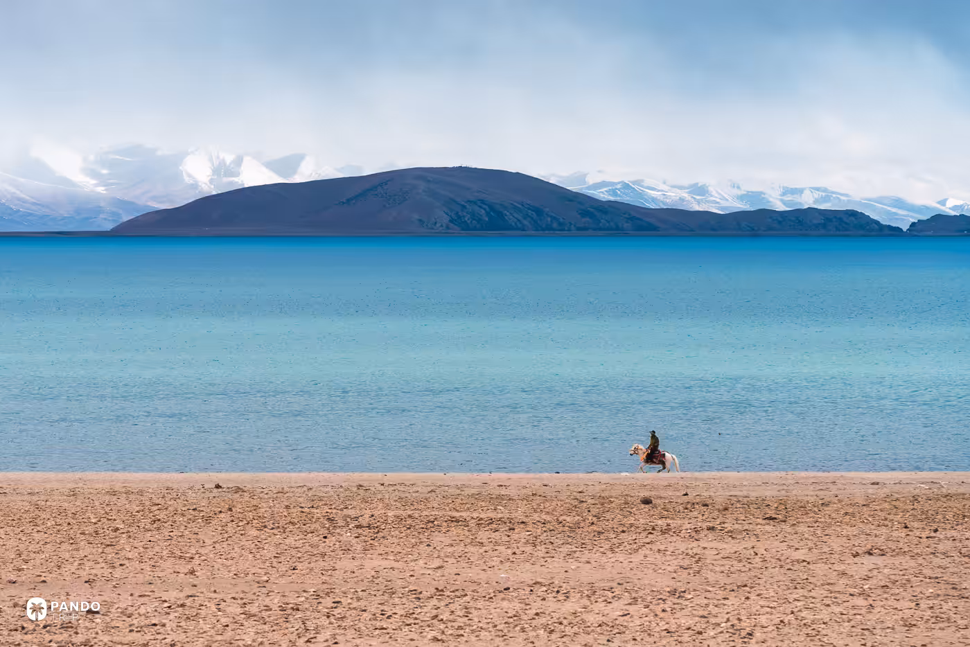 A rider on horseback along the sandy shore of Namtso, Tibet, with a snow range across the water.
