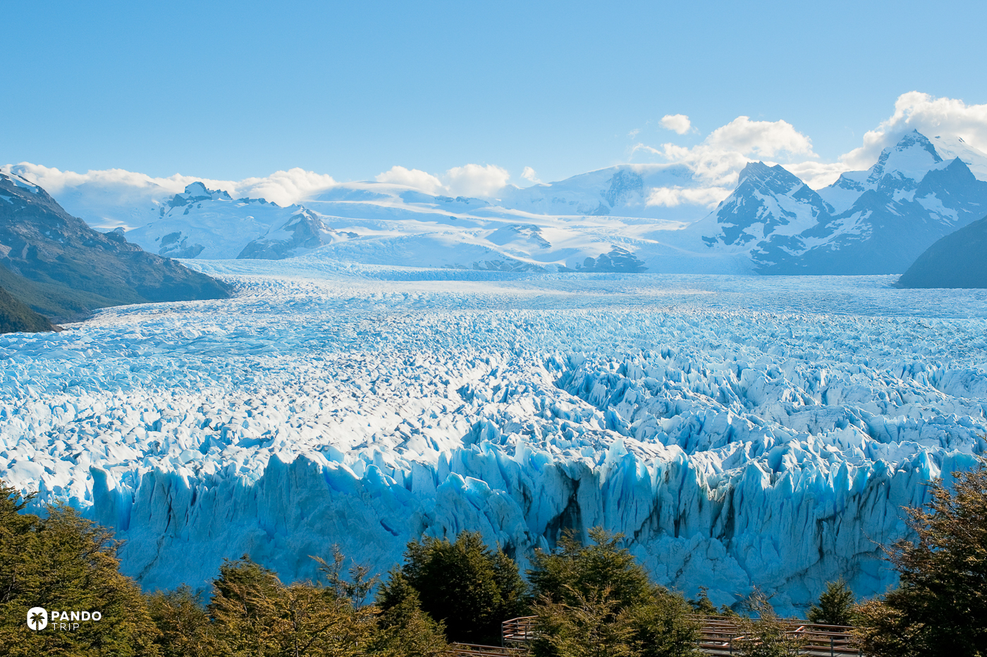 The cracked surface of the Perito Moreno glacier stretching back towards the Patagonian icefield.