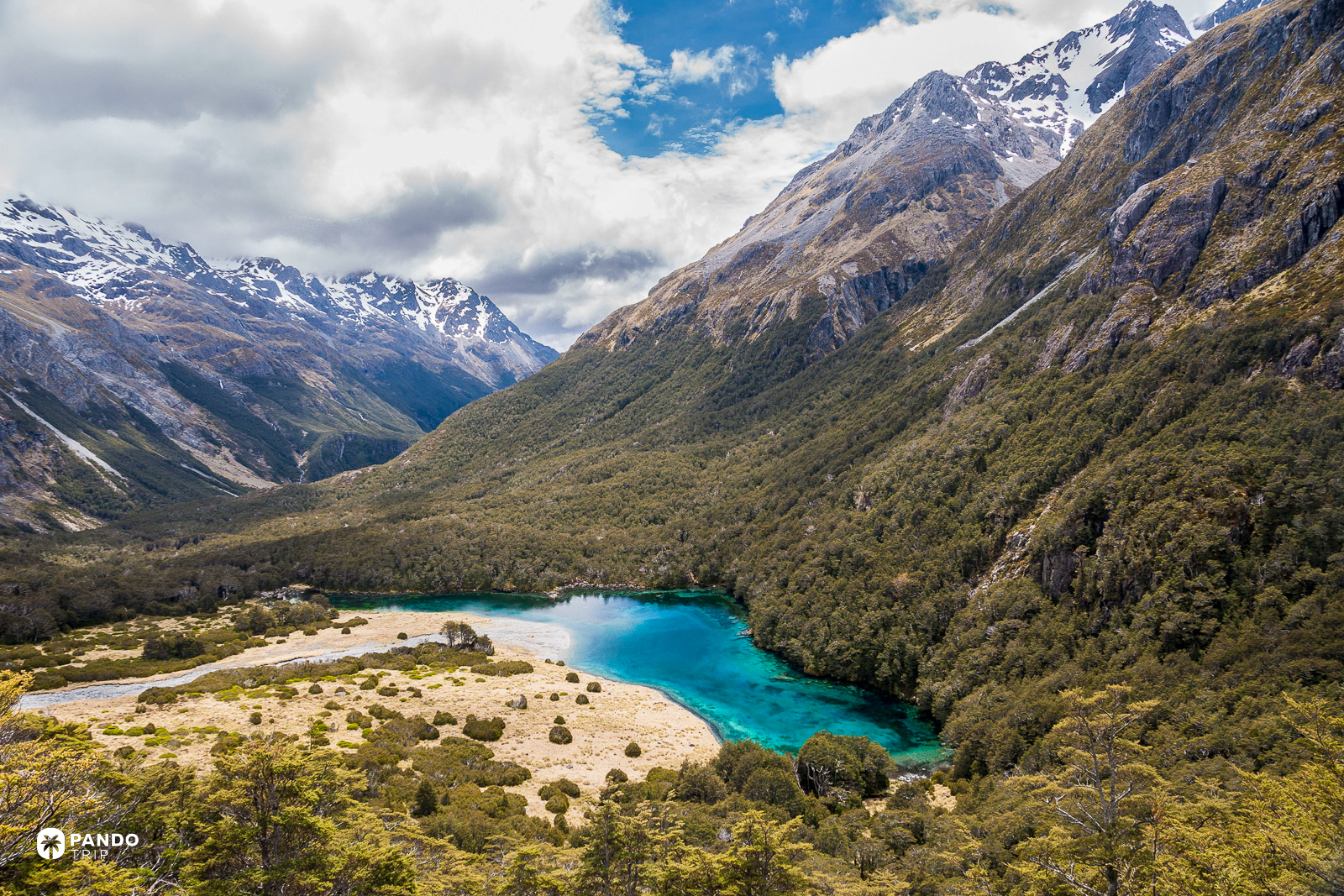 Rotomairewhenua, the Blue Lake, a small turquoise lake in a beech valley in Nelson Lakes National Park.