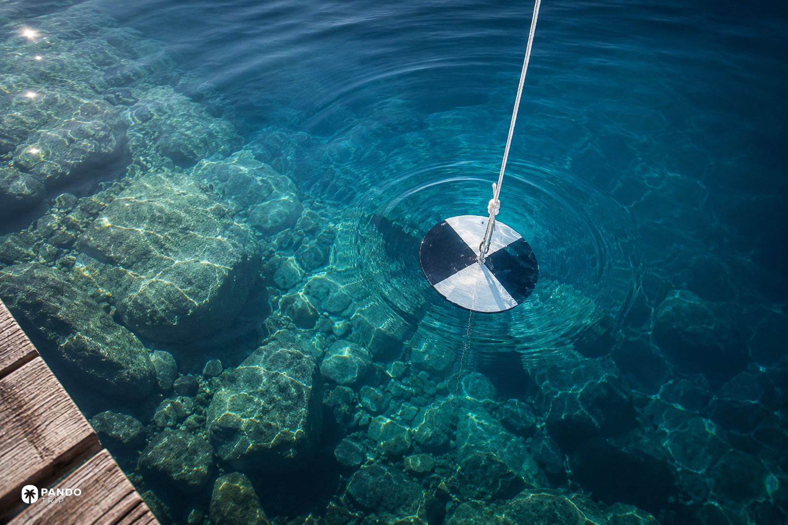 A black and white Secchi disc on a rope just below the surface beside a wooden jetty.