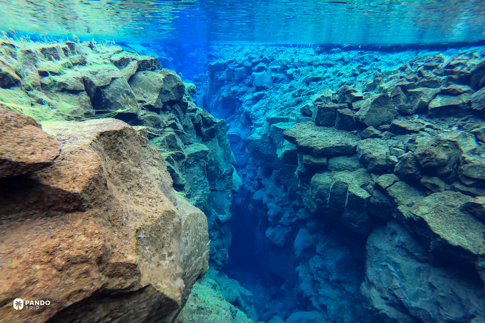 Underwater in the Silfra fissure at Thingvellir, lava walls either side and blue water running away ahead.