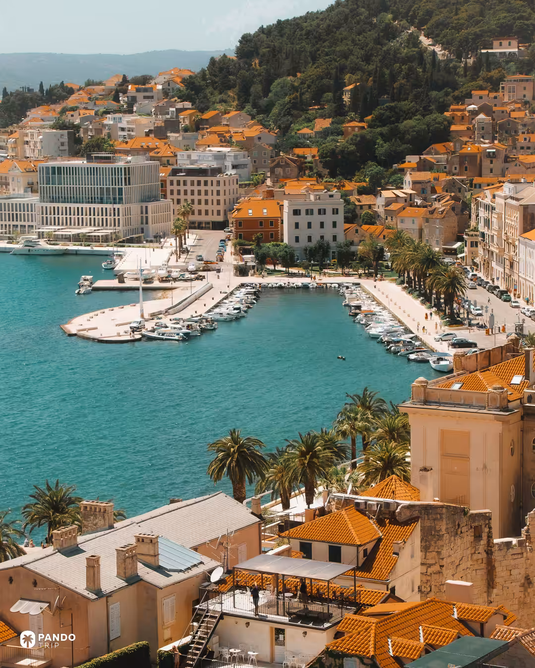 Split's harbour and palm-lined Riva promenade from above, orange-tiled roofs climbing the wooded hillside behind.