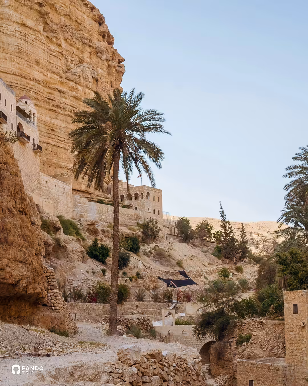 The balconies of St George's Monastery under the overhanging cliff in Wadi Qelt, a date palm rising from the valley floor.