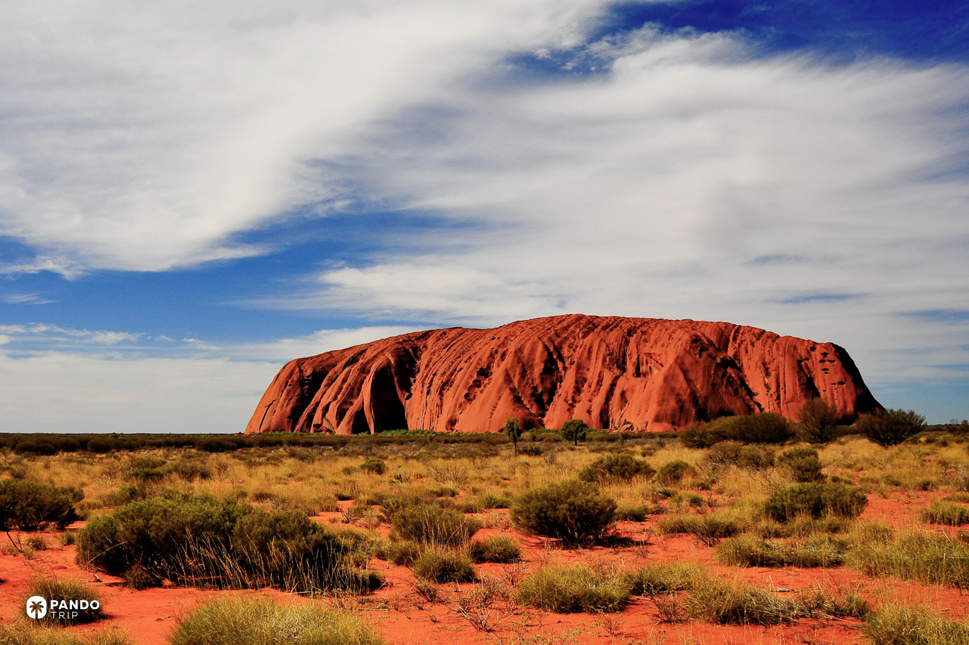 Uluru under a blue sky, its ribbed red flanks rising above spinifex and red sand.