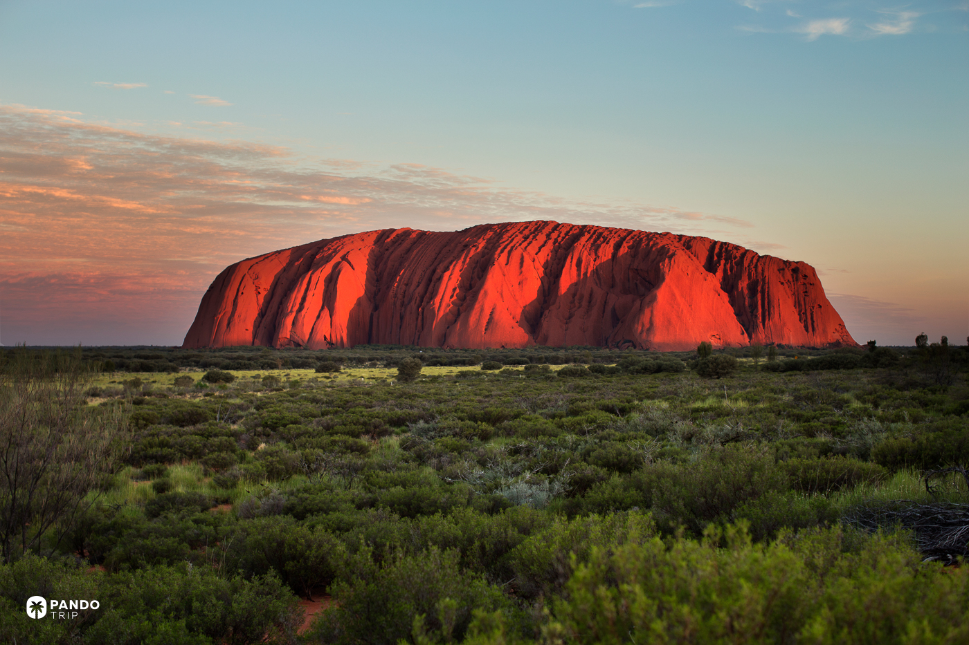 Uluru glowing red at sunset above the desert scrub.