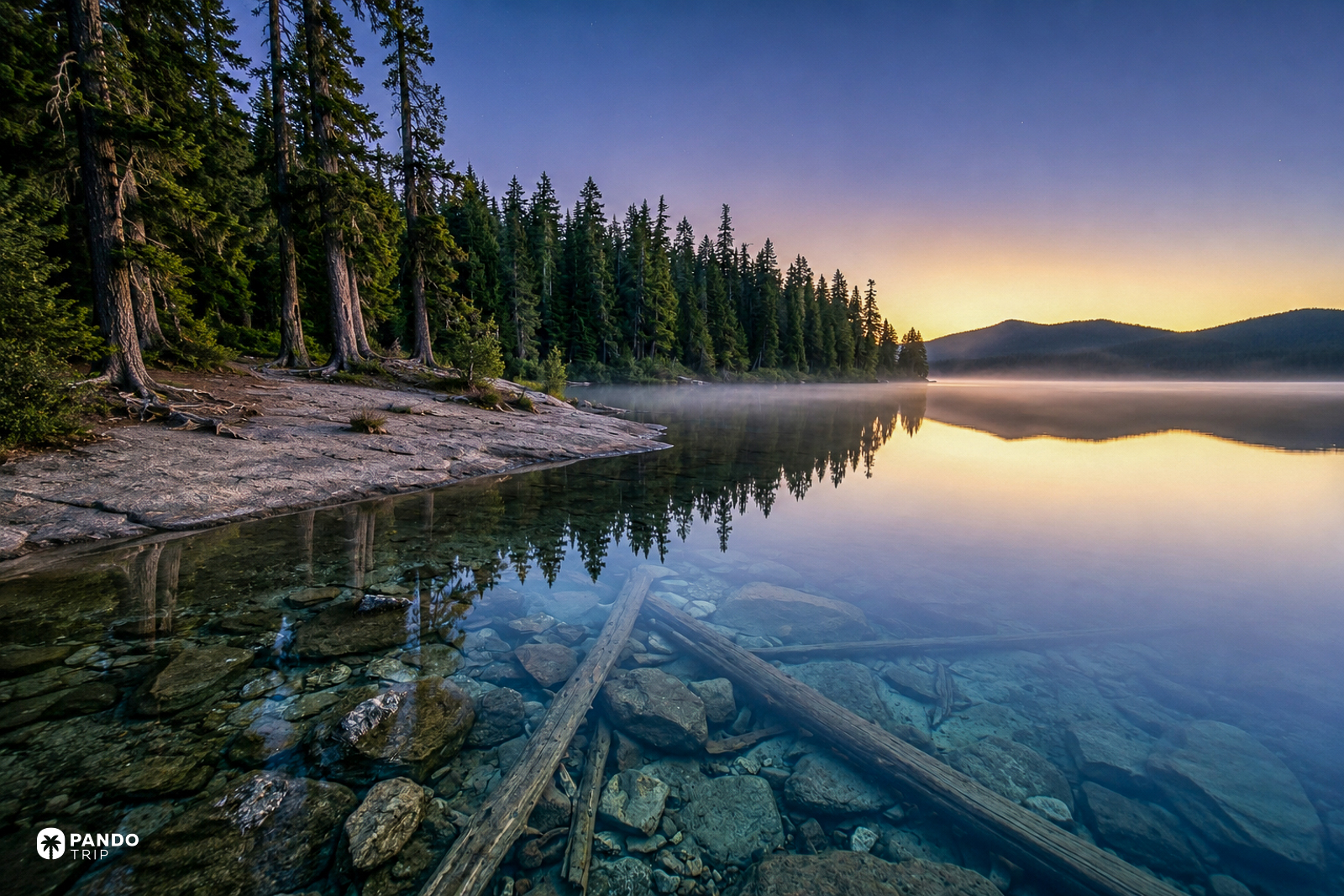 Sunken logs and stones on the bed of Waldo Lake, Oregon, at sunrise with mist over the water.