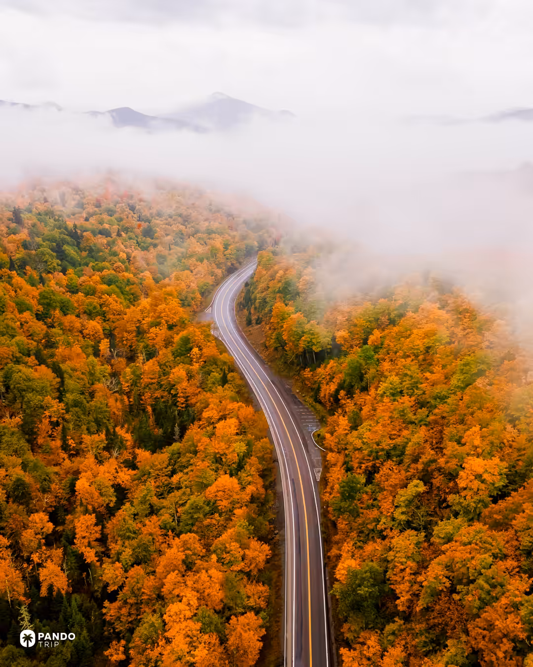 A road curving through orange autumn forest with low mist and mountain peaks behind in the Adirondacks.