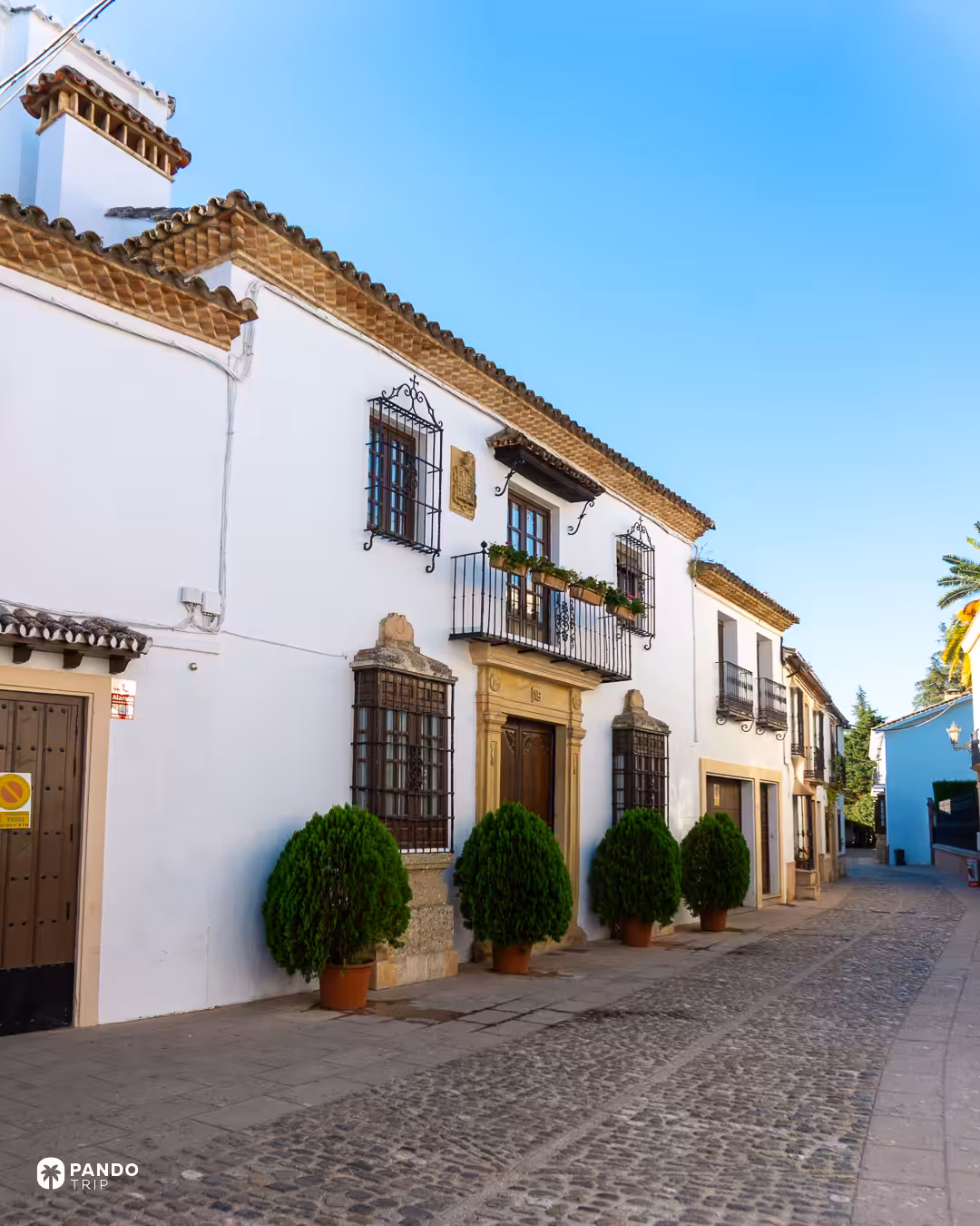 A quiet cobbled street in Ronda's old town lined with whitewashed houses, iron window grilles and potted shrubs.