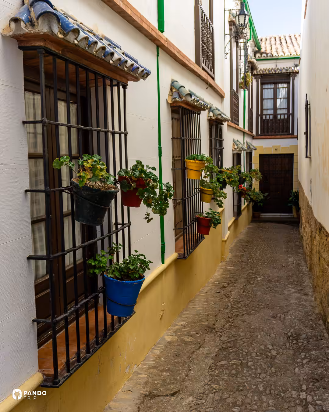 A narrow lane in Ronda with flowerpots hanging from the iron grilles of whitewashed houses.