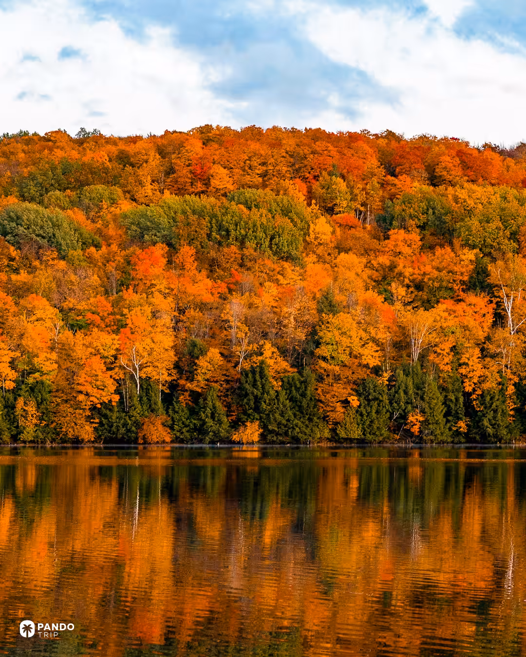 A hillside of orange and gold autumn trees reflected in a calm lake in Vermont.