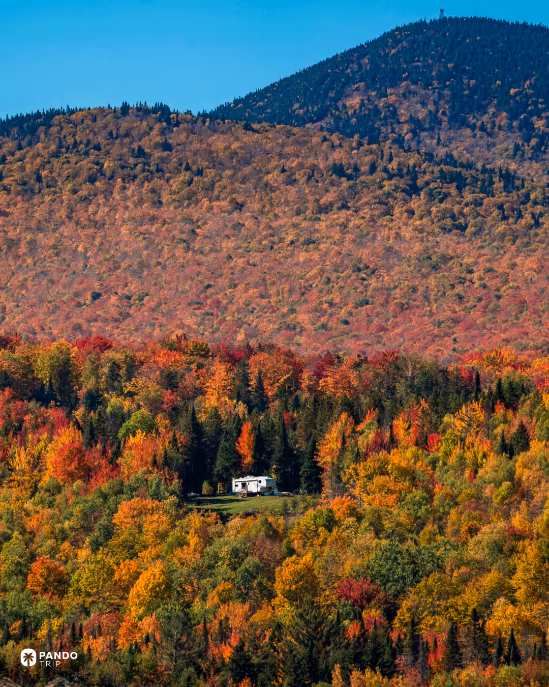 A mountainside of red and orange autumn forest with dark conifers and a small white camper in a clearing in Vermont.